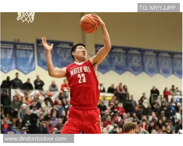 王泉泽：从篮球新星到职业生涯的璀璨之路探秘