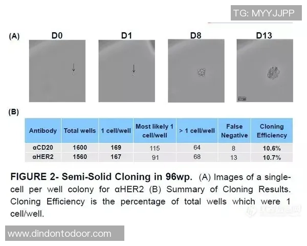 UE412与VS2015的兼容性分析及开发环境优化建议