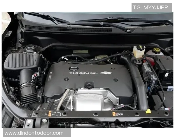 卡迪夫与莱切城激战正酣谁能在这场对决中笑到最后