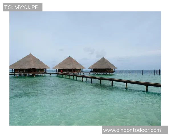 哈德森的魅力探秘：一场关于自然与人文的奇妙旅程