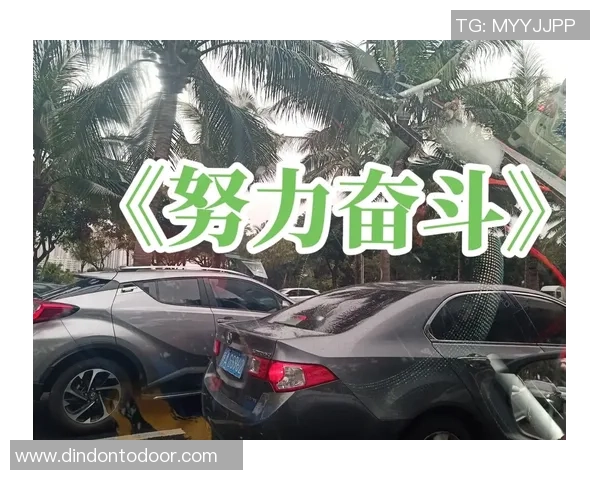 张昊：从平凡到卓越的奋斗历程与人生启示