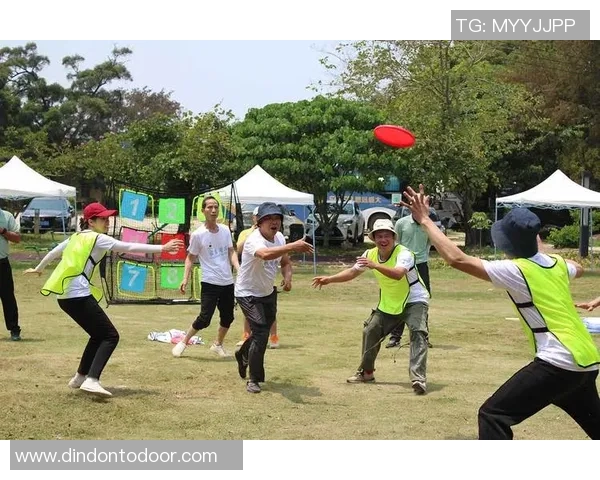 飞盘实力榜单揭晓深圳飞盘队荣登第四名引关注MBA