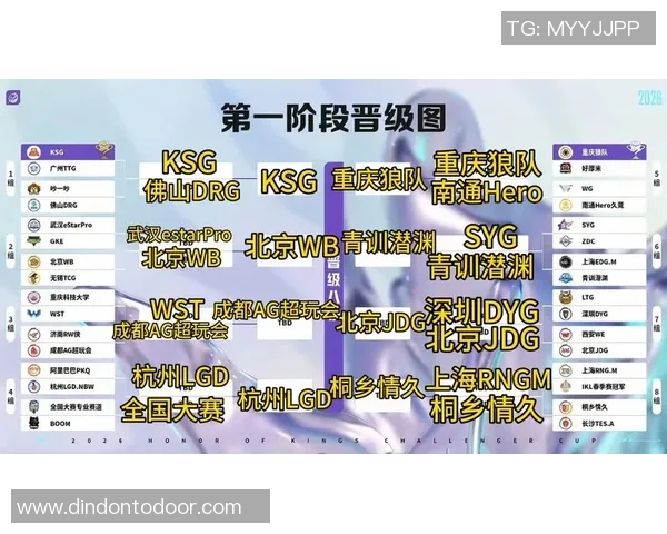 V5在挑战者杯中的表现分析与状态评估探讨