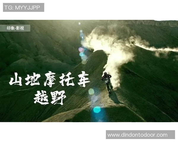 南京极限运动队如何通过创新运营模式实现飞跃发展与团队壮大