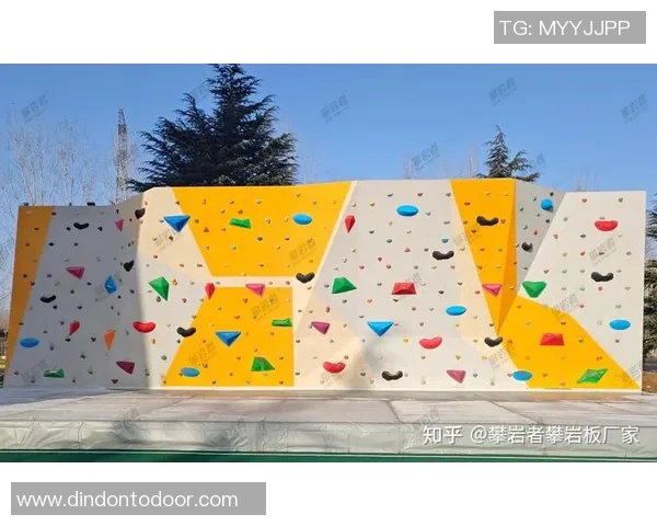 成都攀岩队个人能力提升之路热议攀岩运动的未来发展与挑战